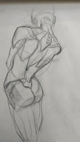 Torso Study