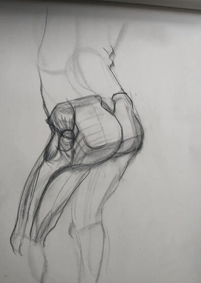 Hip Study Hip Study