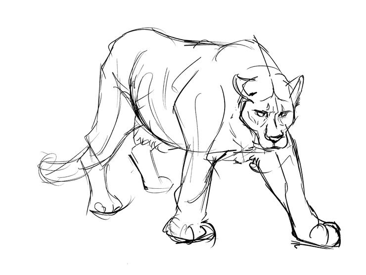 Big Cat